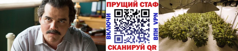 Продажа наркотиков Губкин Галлюциногенные грибы МЕФ Метадон ГАШ Конопля Cocaine