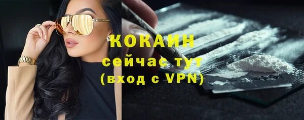 ПСИЛОЦИБИНОВЫЕ ГРИБЫ Баксан