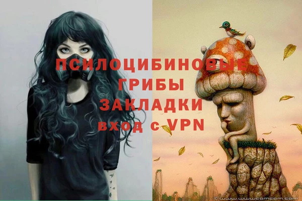 ПСИЛОЦИБИНОВЫЕ ГРИБЫ Баксан