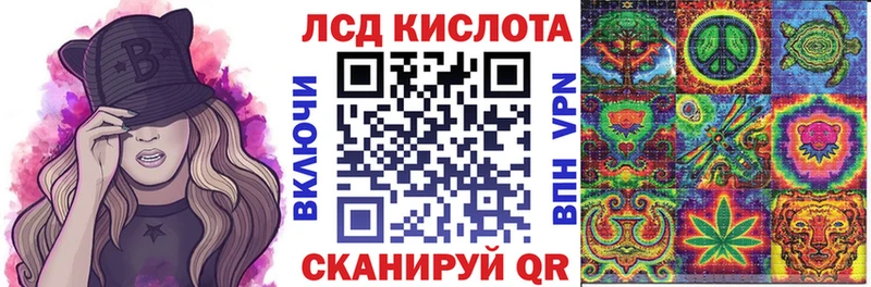KRAKEN онион Губкин Наркотические марки 1,5мг