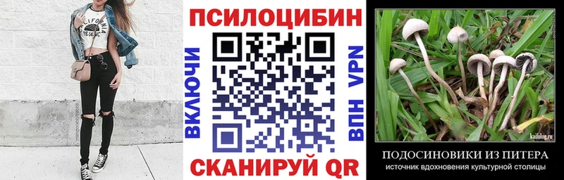 Псилоцибиновые грибы ЛСД  OMG рабочий сайт  Губкин  закладка 